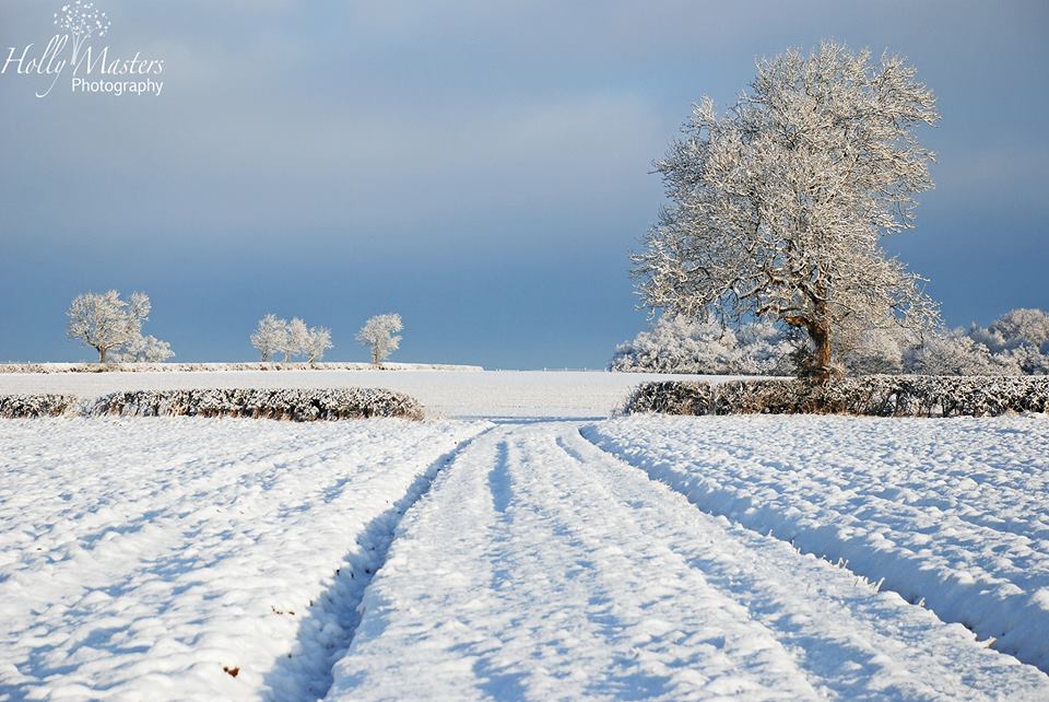 Field covered in snow